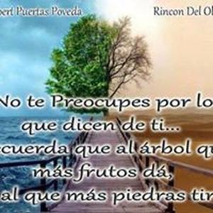 Roque Antonio