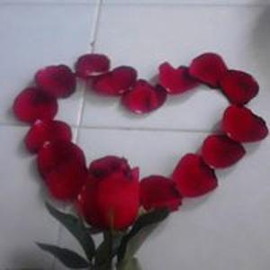 Lyly De