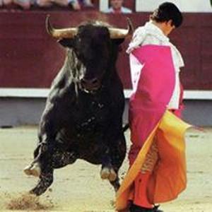 Hugo Vallejo