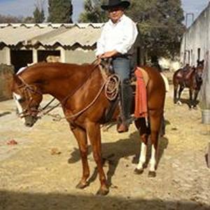 Juvenal Mercado