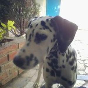 Gaby Garcia