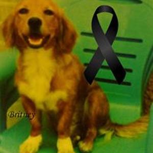 Agustin Cruz