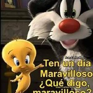 Chayito Chavez