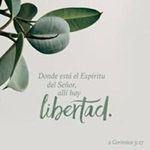 Flor Zuleyka