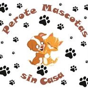 Alejandro Mascotassincasa