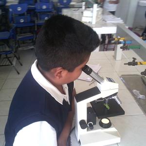 rodolfo
