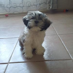 yenniffer espinoza