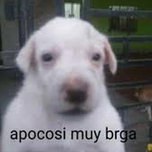 Testing 2 test