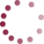Plan 2017 Logo